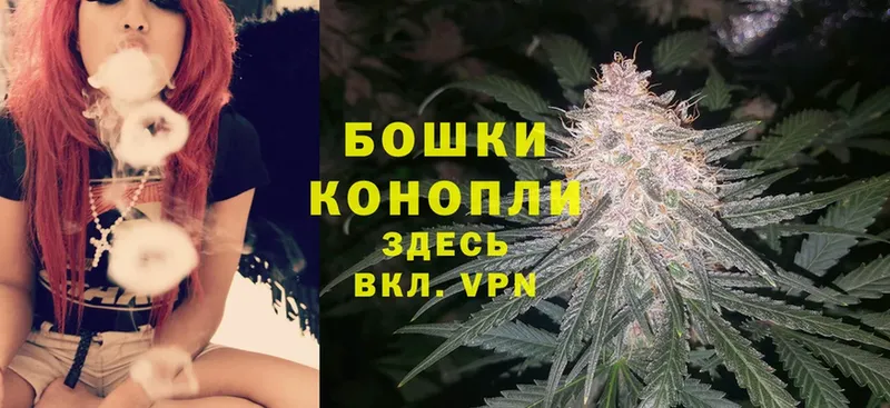 Бошки Шишки SATIVA & INDICA  дарк нет какой сайт  Цоци-Юрт  наркота 